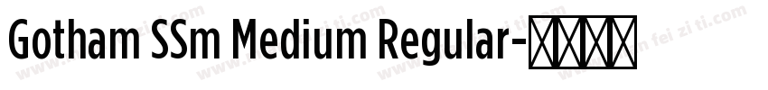 Gotham SSm Medium Regular字体转换